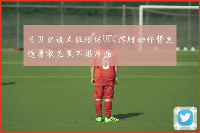 戈贝尔谈文班模仿UFC挥肘动作赞里德勇敢无畏不惧疼痛