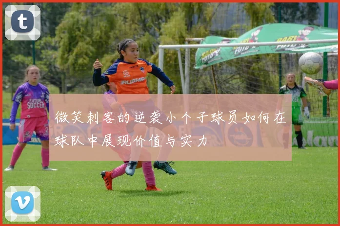 微笑刺客的逆袭小个子球员如何在球队中展现价值与实力
